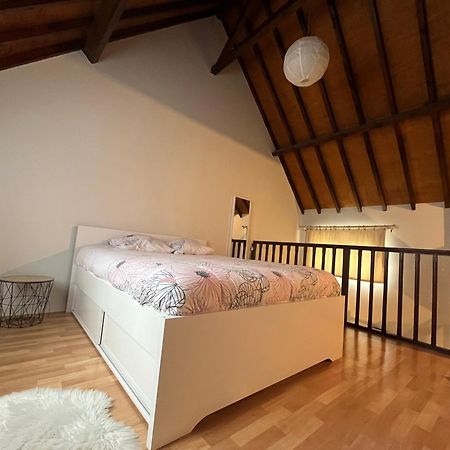 Le Mortier D'Or Duplex Hyper Centre Ville Troyes Bagian luar foto