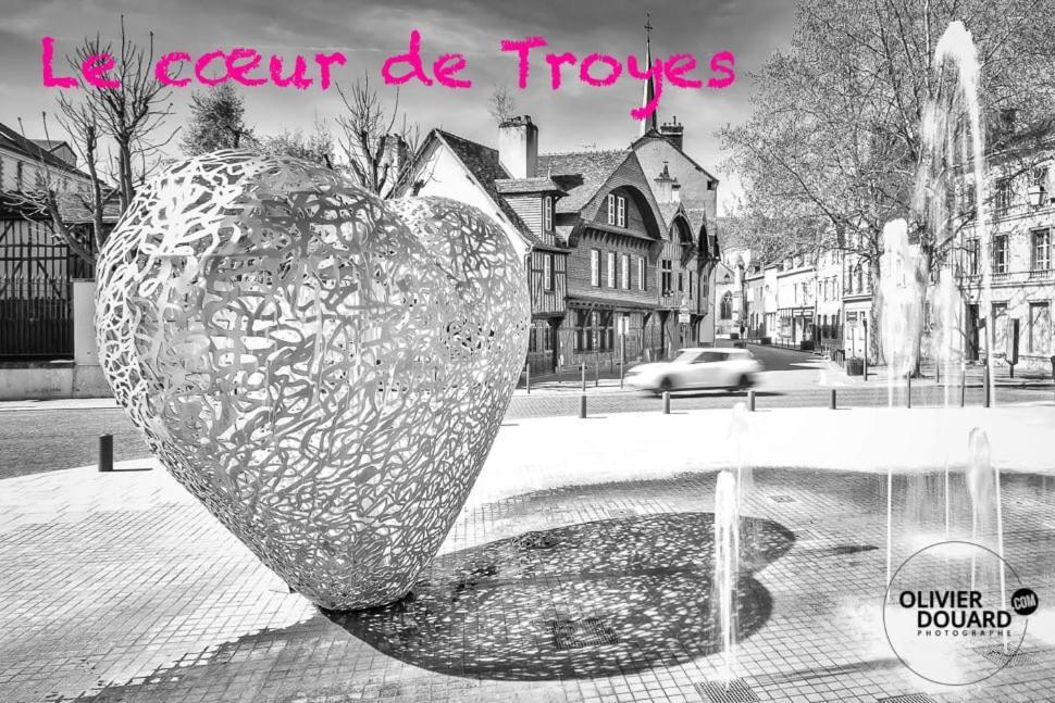 Le Mortier D'Or Duplex Hyper Centre Ville Troyes Bagian luar foto