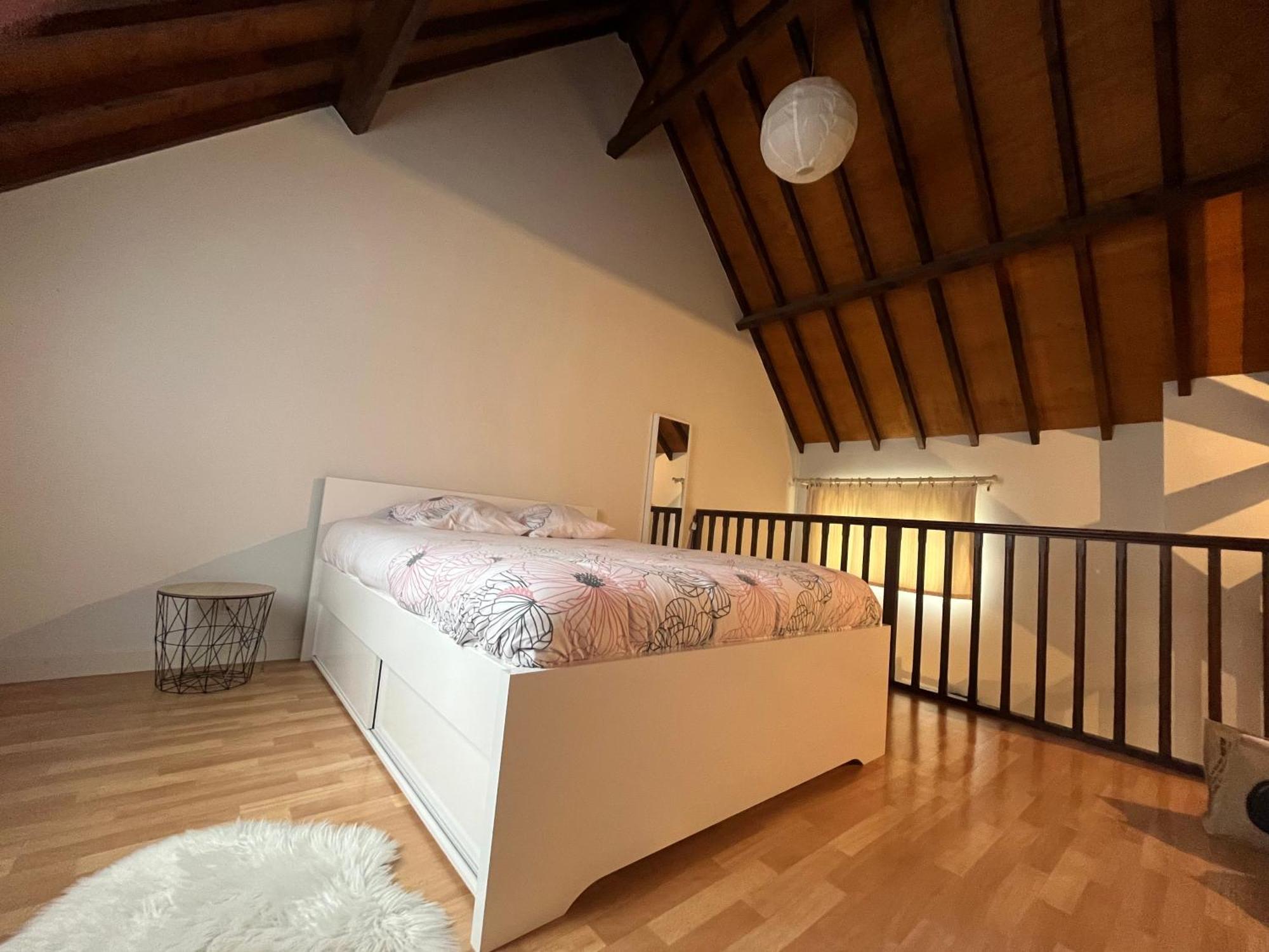 Le Mortier D'Or Duplex Hyper Centre Ville Troyes Bagian luar foto