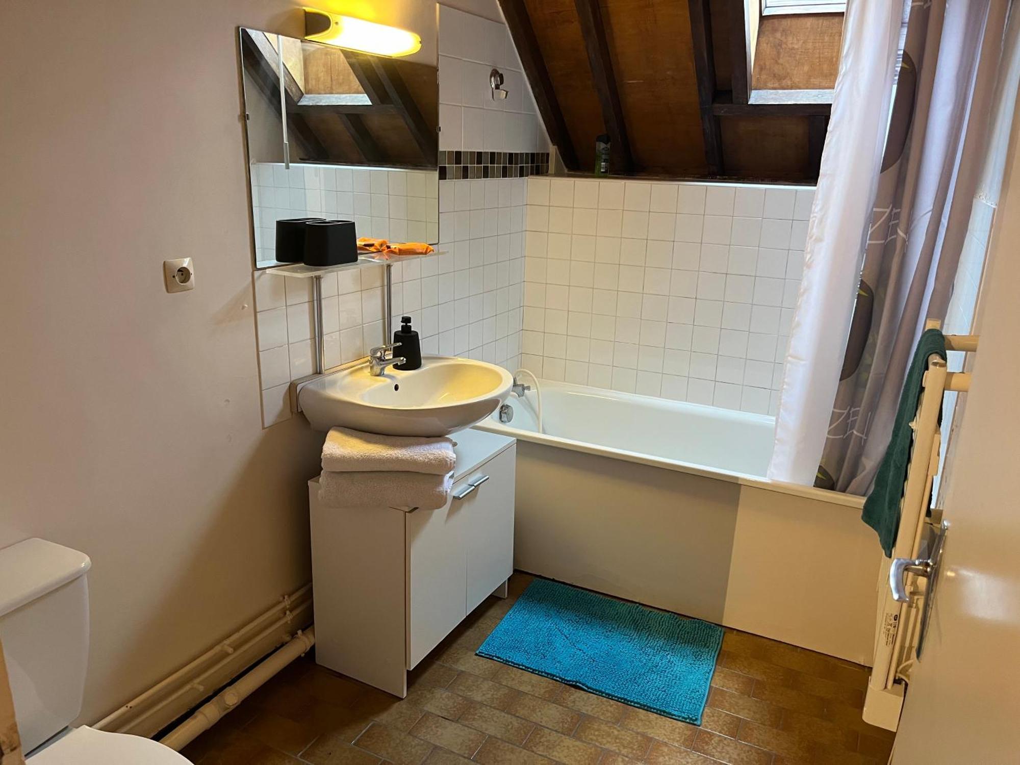 Le Mortier D'Or Duplex Hyper Centre Ville Troyes Bagian luar foto
